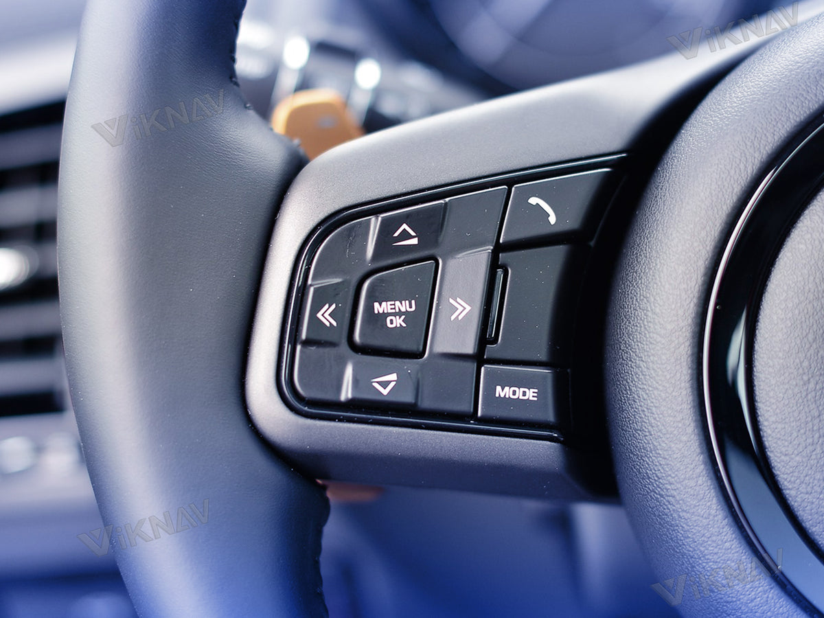 Steering Wheel Control